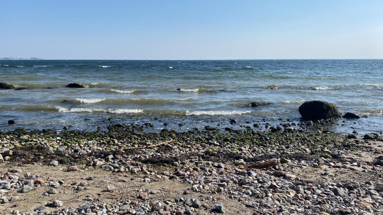 Oase Mit Meerblick, Schwimmbad & Nahe Hansapark, Kostenlos Parken Sierksdorf Eksteriør billede